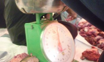 proses penimbangan daging